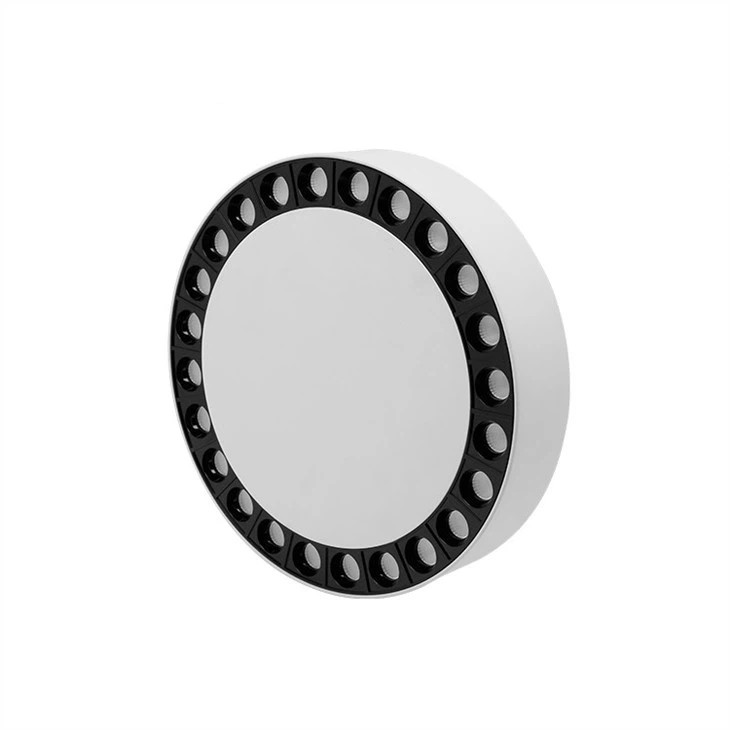 Surface Mounted Black White Lighting System Led Linear Downlight