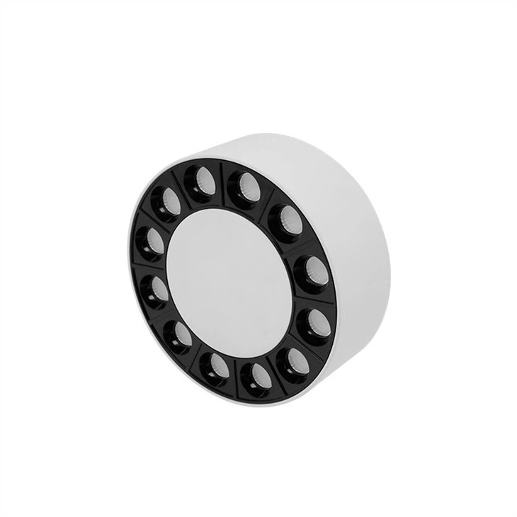 Surface Mounted Black White Lighting System Led Linear Downlight