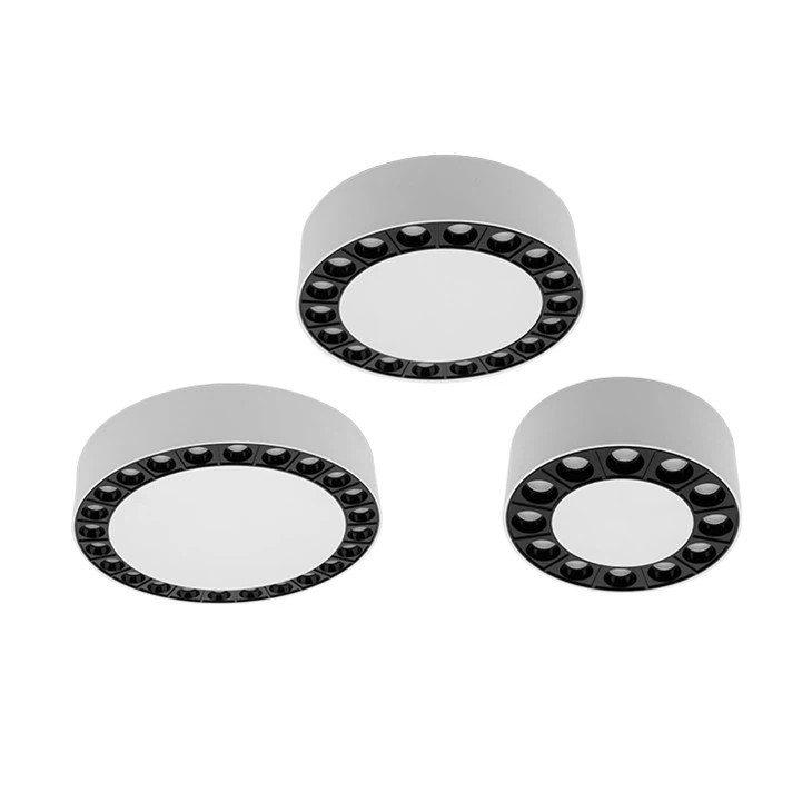Ceiling Mount Light Fixture