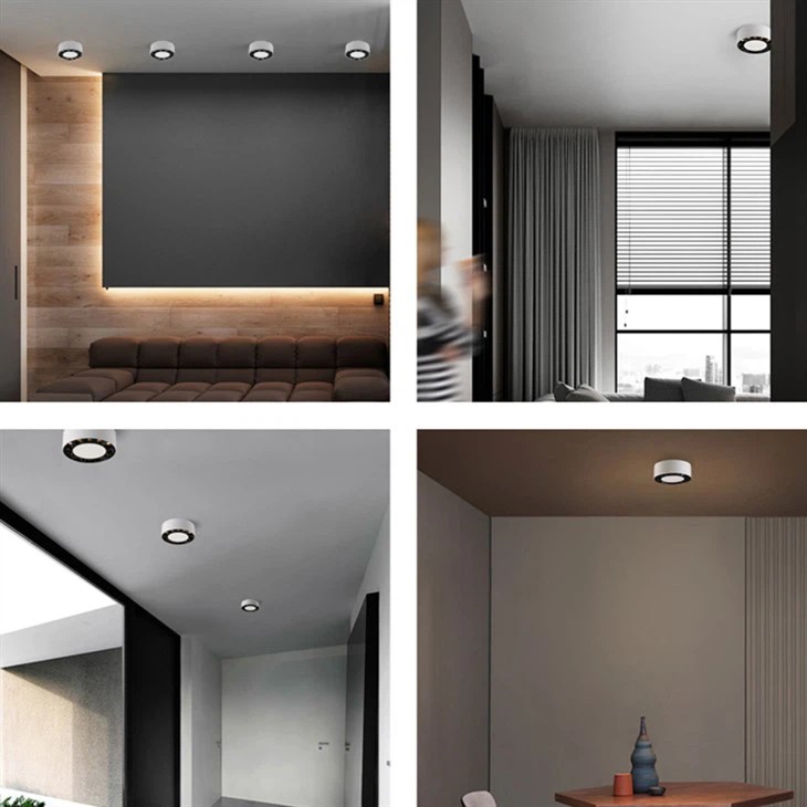 Ceiling Mount Light Fixture
