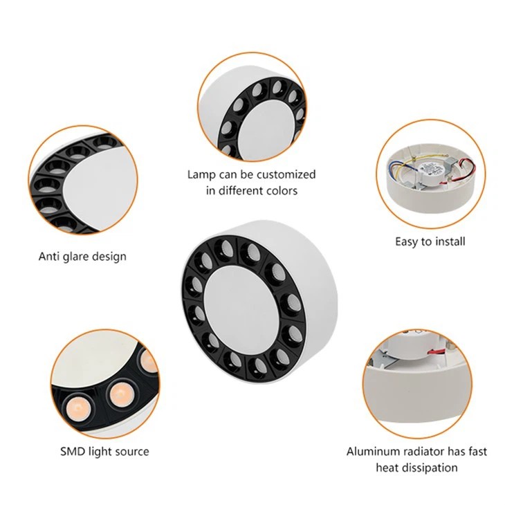 Ceiling Mount Light Fixture
