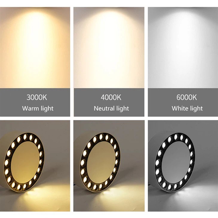 Ceiling Mount Light Fixture