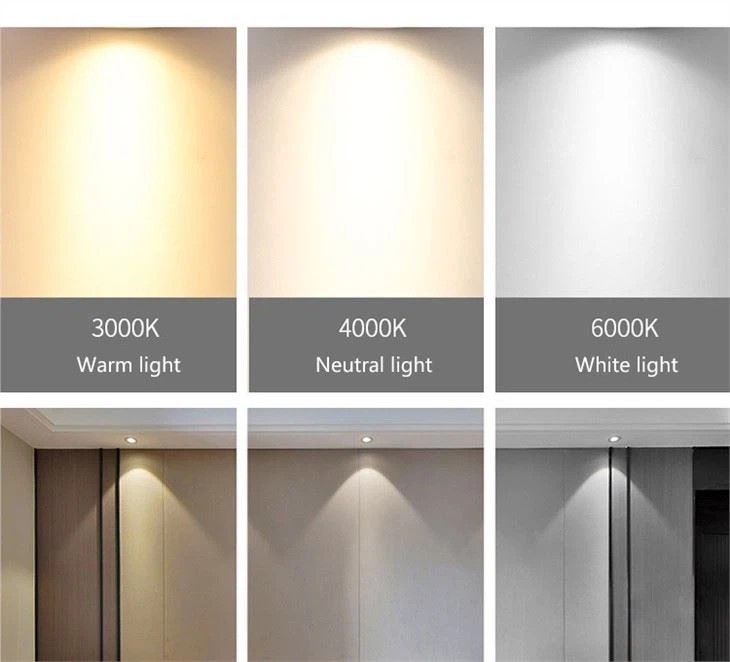 Best Downlights For Home
