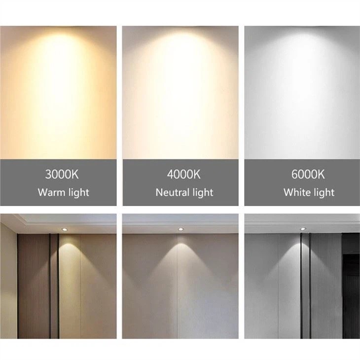 Best Downlights For Home